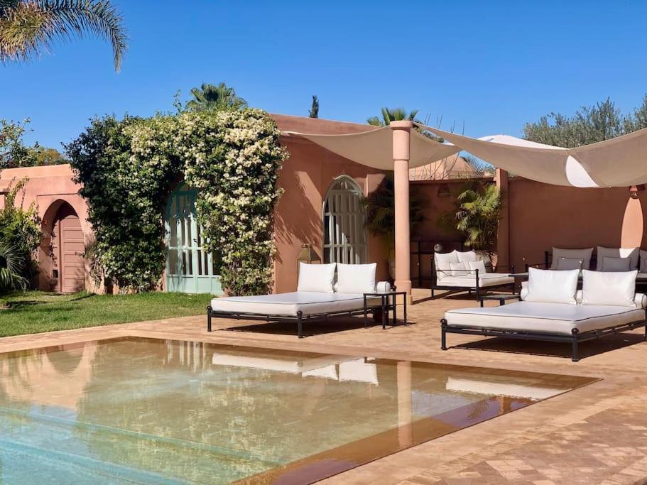 Ava Marrakesh
