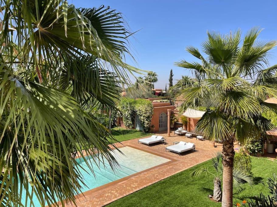 Ava * Marrakesch