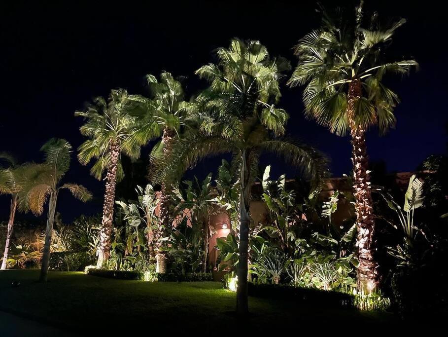 Ava Marrakesch
